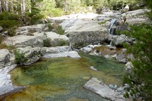 piscine vignette