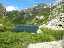 vitalac 040617 vignette